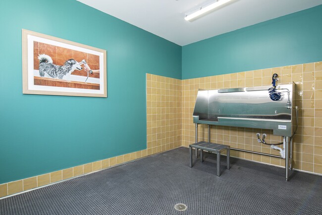 Foto del edificio - Estrella Springs at Canyon Trails