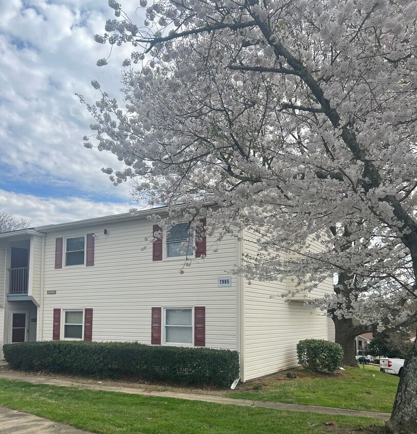 Foto principal - 2 Bedroom/ 1 Bathroom $1150.00