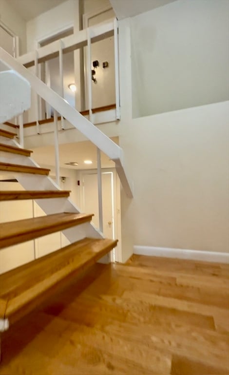 Primary Photo - 12 Follen St