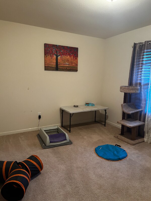 Foto del edificio - 16 Tilden Howington Dr