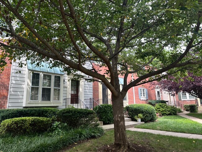 Building Photo - 4847 Chevy Chase Dr
