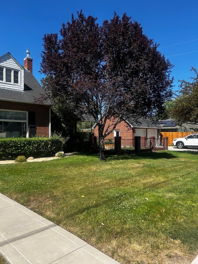 Building Photo - 1190 Manor Dr