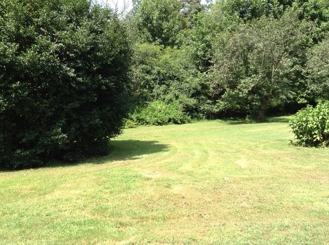 Rear yard. - 2679 Highway 105