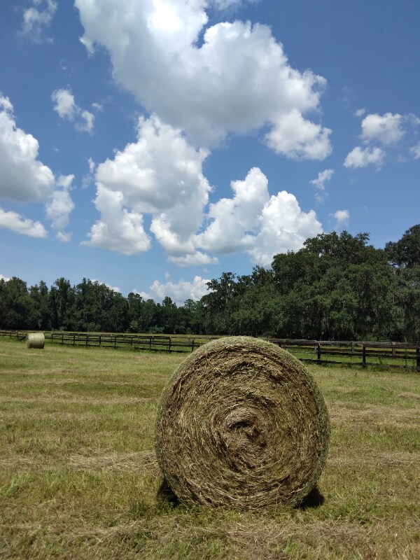 Foto del edificio - 8035 NW 120th St