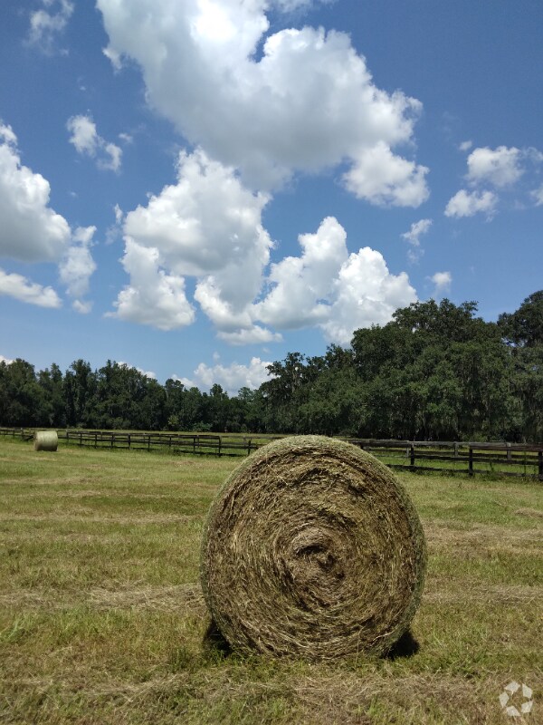 Apartments For Rent in Reddick FL with Parking 1 Rentals