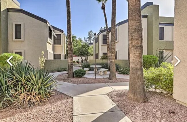 Photo - 4201 N 20th St Apartment