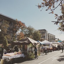 Seasons at Library Square photo'