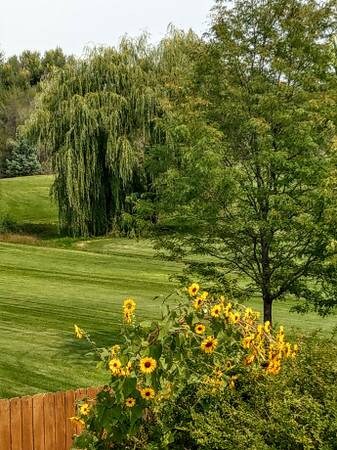 Foto del edificio - 302 N 50th Ave