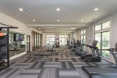 Located along State Route 401 in Atlanta, GA, this well-appointed fitness center offers a comprehensive workout environment across a single, expansive floor. The space is designed with both functionality and aesthetics in mind, featuring a striking geometric-patterned carpet in neutral tones of taupe, grey, and brown that lends a polished, modern feel throughout.

The main workout floor is generously proportioned, accommodating a full lineup of True-brand cardio equipment, including treadmills, ellipticals, and stationary bikes positioned along the perimeter to take advantage of the abundant natural light streaming through large, floor-to-ceiling windows and arched glass panels. These windows offer pleasant views of the surrounding greenery, enhancing the overall workout environment.

A dedicated strength and functional training area features cable machines, weight benches, and free weights, while a separate functional training rig supports suspension training and includes a heavy bag for combat-style workouts. A large training tire and sled equipment further expand the facility's functional fitness offerings.

The space also includes a mirrored studio room enclosed by sleek black-framed glass doors, ideal for group classes or personal training sessions. Ceiling fans and recessed lighting throughout ensure a comfortable, well-lit atmosphere. The open layout, varied equipment selection, and bright, airy design make this fitness center a comprehensive and inviting destination for all levels of fitness enthusiasts.