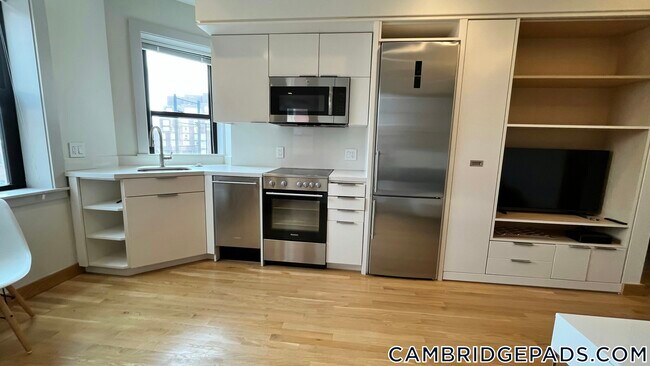 Building Photo - 115 Mt Auburn St