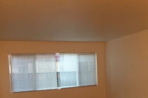 Main room - 2236 Curtner Ave