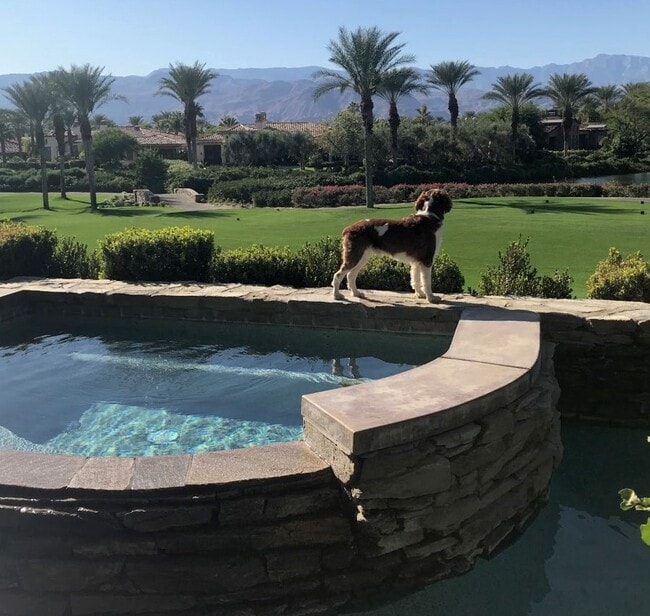 jacuzzi and sixth tee box - 43347 Via Orvieto