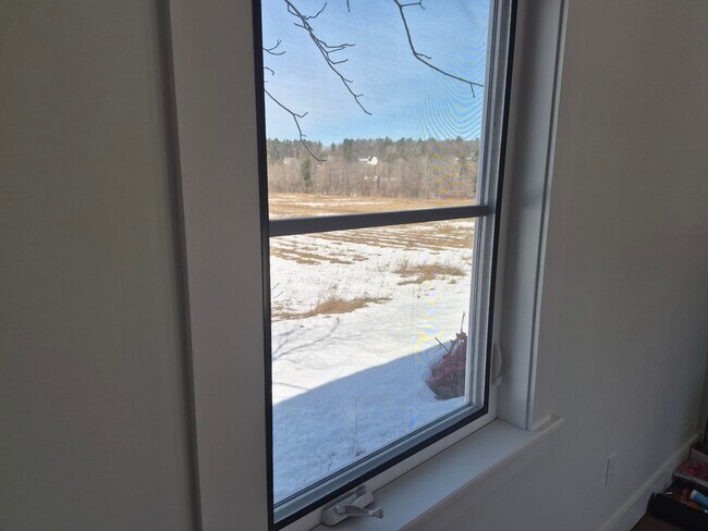 mirando por la ventana de la sala de estar - 13 Birch Meadow Rd