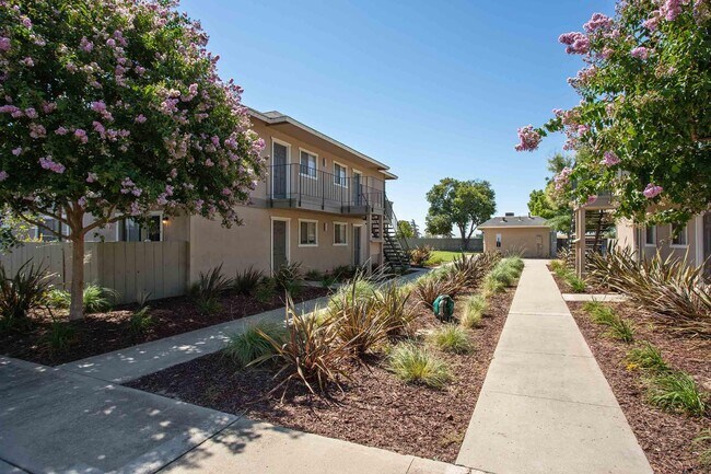 Foto del edificio - Village Ceres Apartments