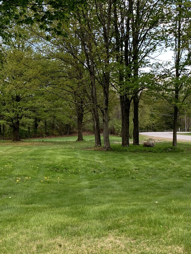 Primary Photo - 82 Christian Hill Rd