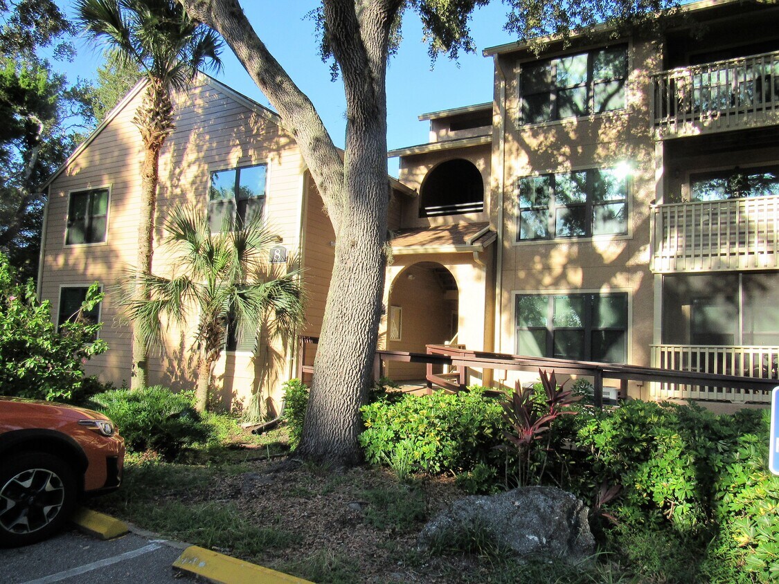 1401 S Palmetto Ave Unit 800, Daytona Beach, FL 32114 Condo for Rent