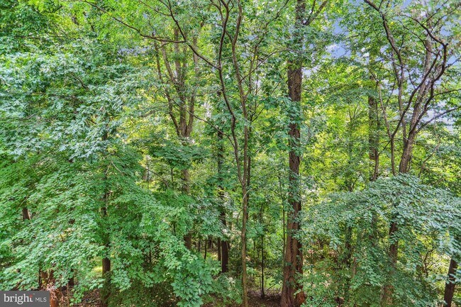 Building Photo - 3301 Sir Thomas Dr