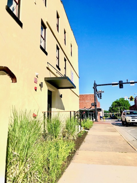 The Doyne Apartments Entrance - The Doyne