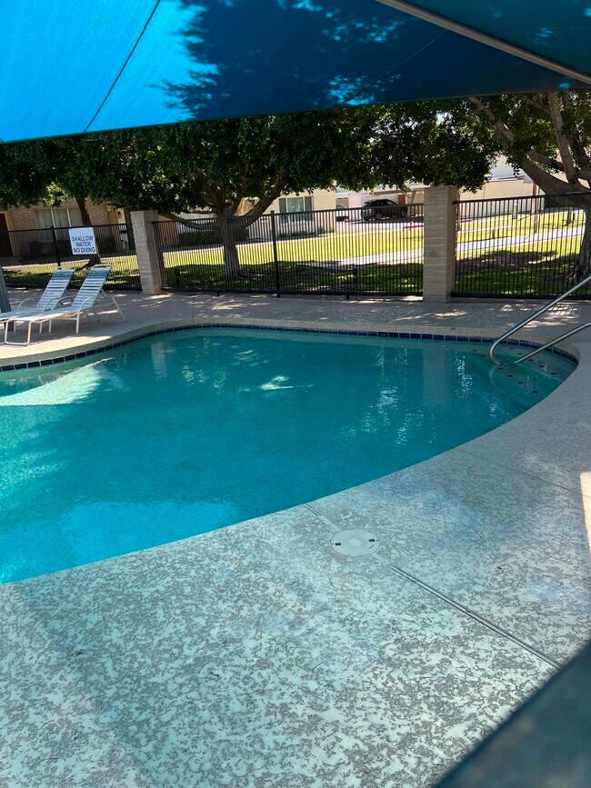 Eastwood Townhomes Gran piscina cerrada de 3 a 12 pies de profundidad con área sombreada para niños - 4444 E Belleview St
