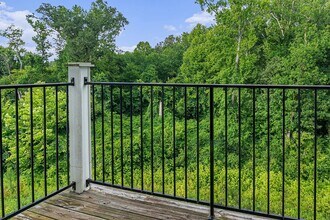 Building Photo - Limestone Creek Apartment Homes