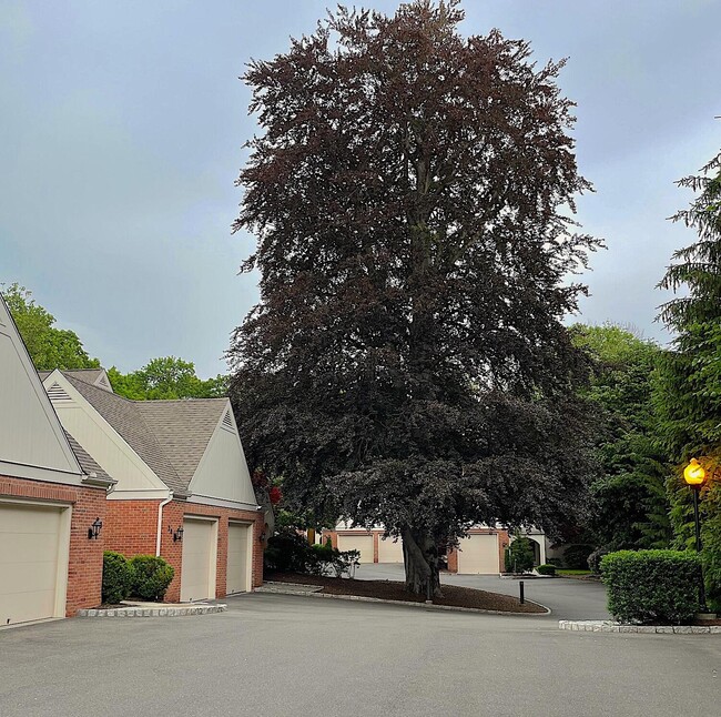 42 Sedgewick Village Ln, Darien, CT 06820 Condo for Rent in Darien, CT