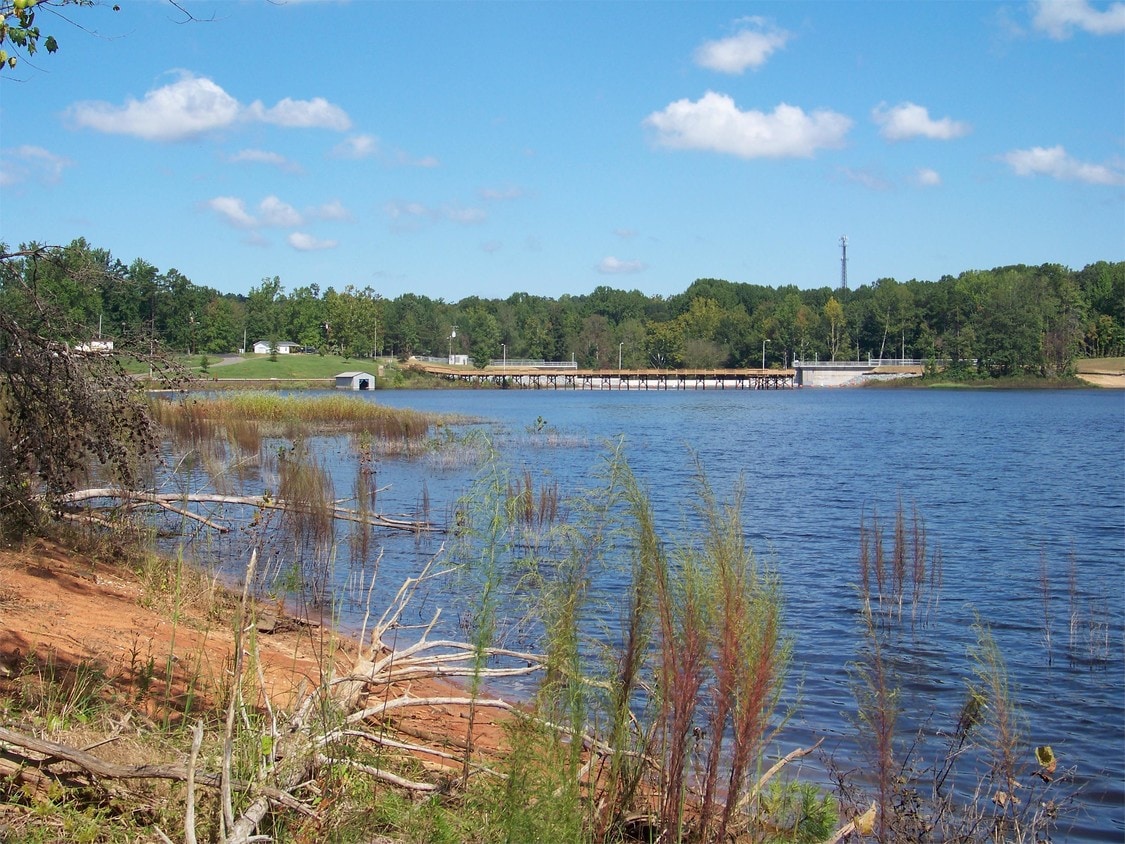 Building Photo - 204 Timberline Dr