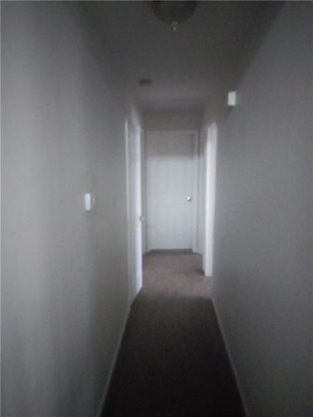 Building Photo - 4070 Big Rub Tr