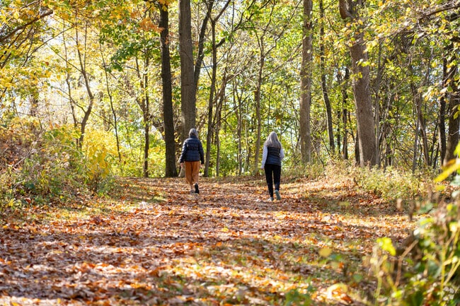 Hike through the woods along the paved walking path at Sunset Park.