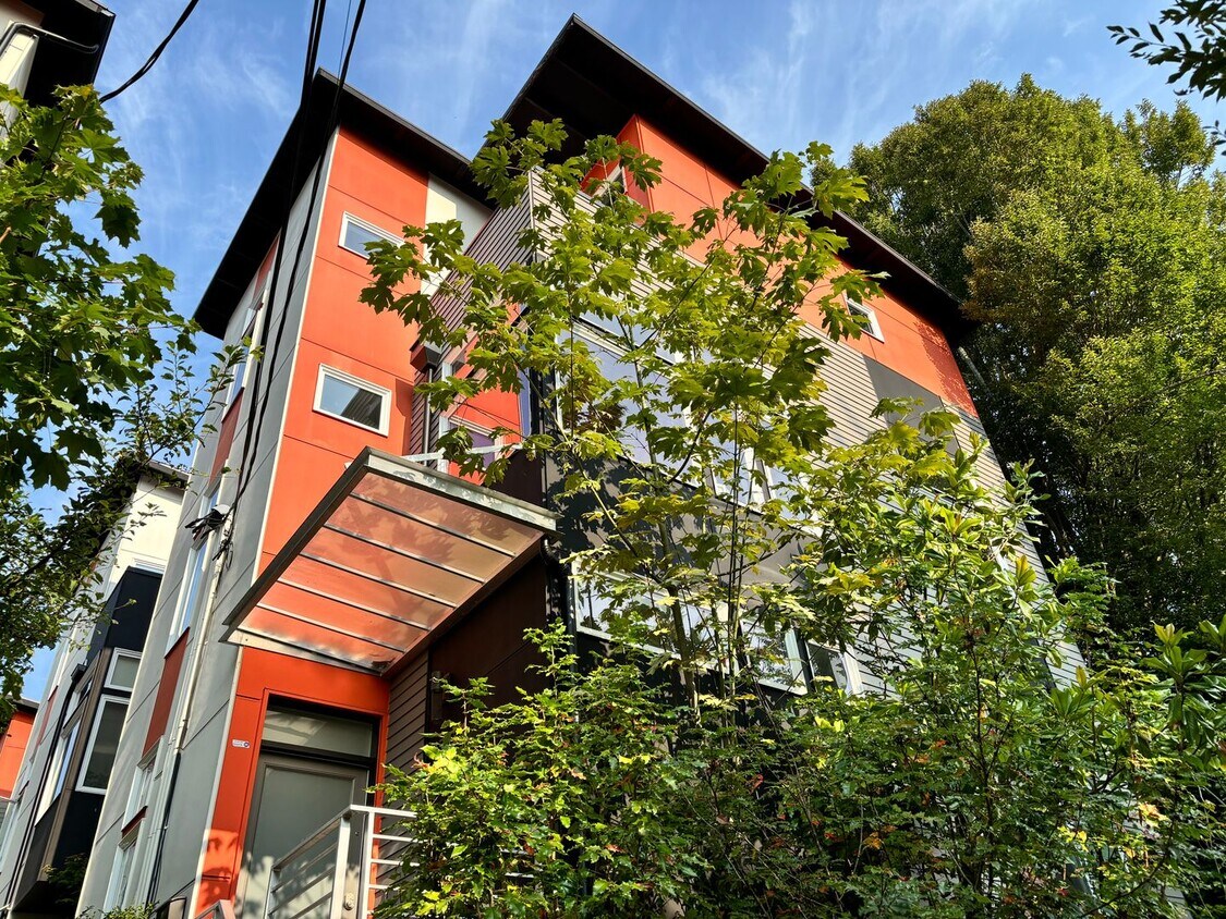 Primary Photo - Modern University Home.