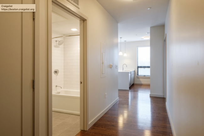 Building Photo - 1 bedroom in Brookline MA 02446
