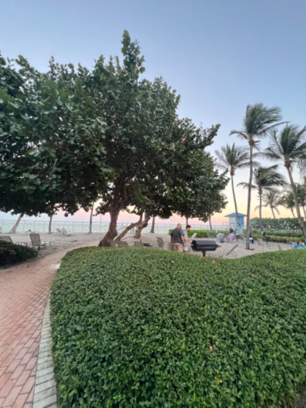 Foto del edificio - 3001 S Ocean Dr