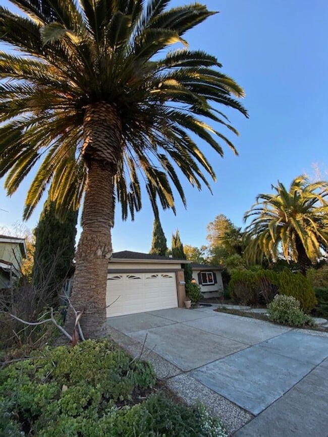 Foto del edificio - Beautiful Single Level Home in Ponderosa P...