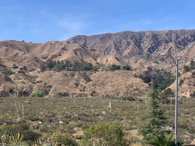 Foto del edificio - 8544 Tujunga Valley St
