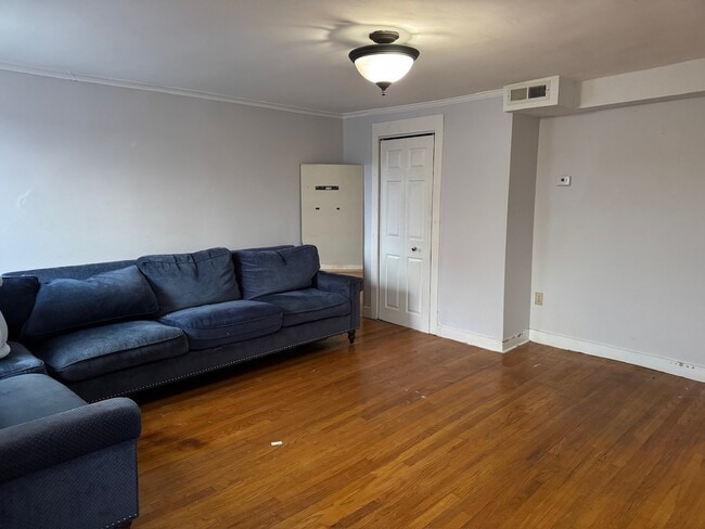 LIVING ROOM - 25 Minerva St