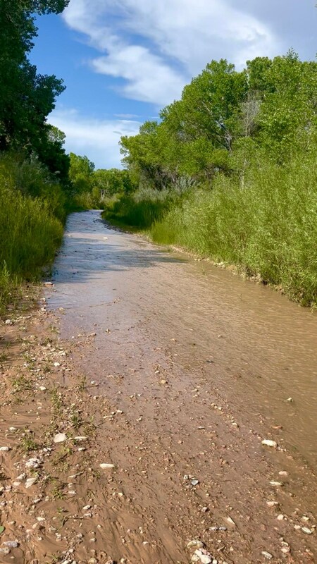 Foto del edificio - 28 NM-503