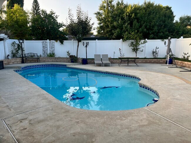 Piscina - 19926 Cantara St