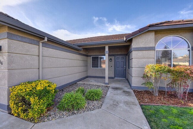 Building Photo - Beautiful 3 bedroom, 2 bath Home in Laguna...