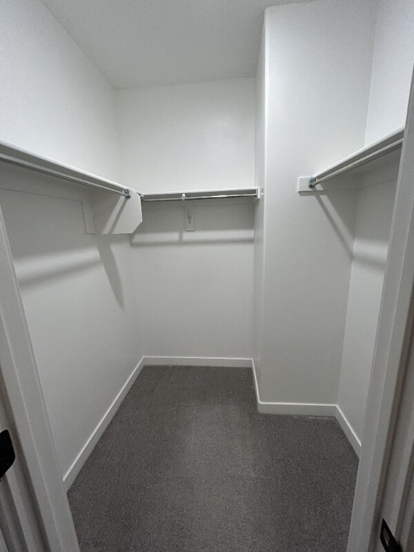 Foto del edificio - 778 W Bronze Leaf Rd