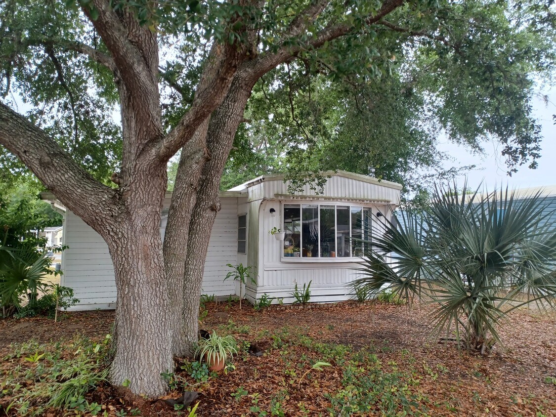 Primary Photo - 1721 Timber Ridge Cir