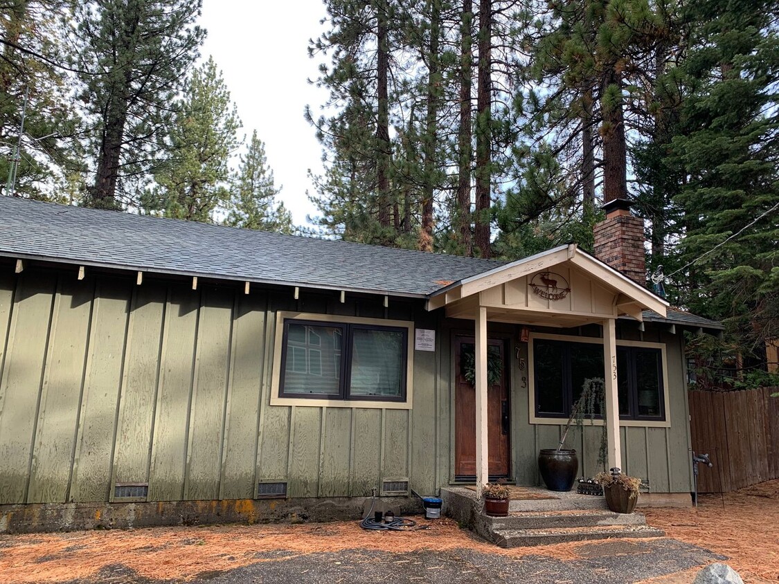 Primary Photo - Cozy Cabin in the Woods