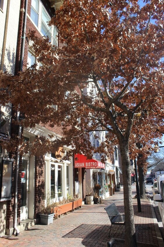 Photo - 809-809 1/2 King St & 103 1/2 N. Alfred Street