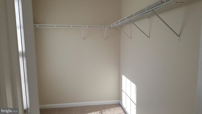 Building Photo - 5147 New Stead Ct