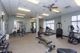 This fitness center offers a practical and well-organized space designed to support a variety of workout routines. The room features a neutral color palette with soft green walls and light-toned carpeted flooring, creating a calm and focused environment for exercise. Recessed panel lighting in the drop ceiling provides consistent, even illumination throughout the space, while multiple windows fitted with horizontal blinds allow for natural light and ventilation control. A structural column is centrally positioned in the room, subtly dividing the space without disrupting the open feel. The cardio zone is equipped with a treadmill and a stair-climbing machine, offering effective options for aerobic training. A dedicated free weight area along one wall features a multi-tiered dumbbell rack stocked with a range of weights, suitable for strength training at various levels. Additional equipment, including a cable or resistance machine and a small utility table, rounds out the facility's offerings. A wall-mounted television is positioned for easy viewing during workouts. The space is clean, functional, and thoughtfully arranged to maximize usability while maintaining an open floor area for stretching or additional exercises.