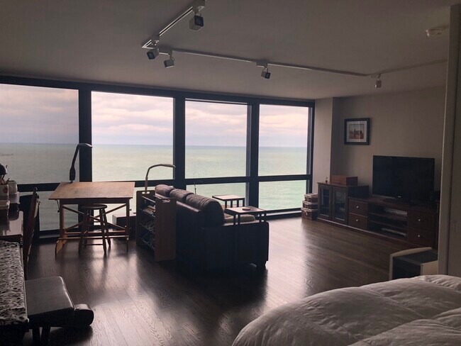 Foto del edificio - 900 N Lake Shore Dr