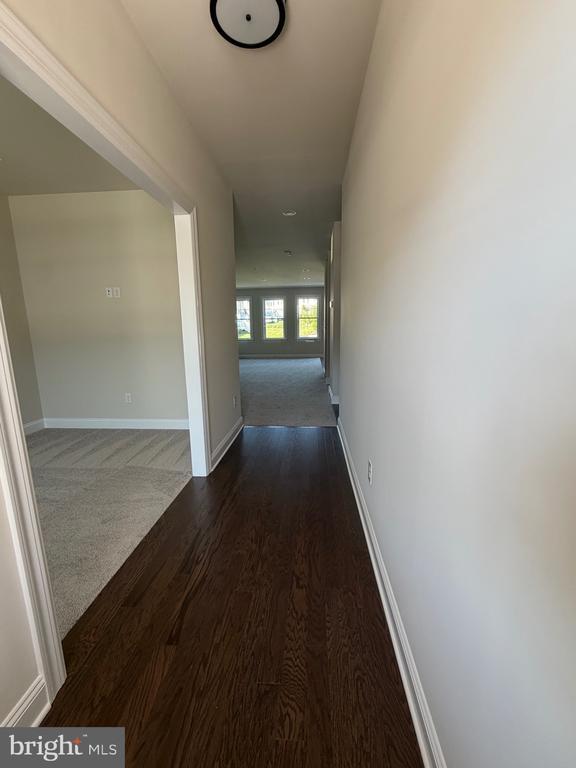 Building Photo - 433 Reagans Ln
