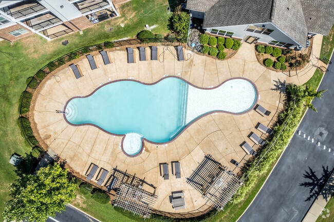 Pool with lounge - Taylor Bend