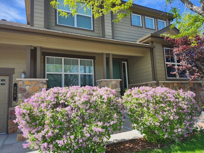 Building Photo - Convenient Castle Rock home on Culd-a-sac ...