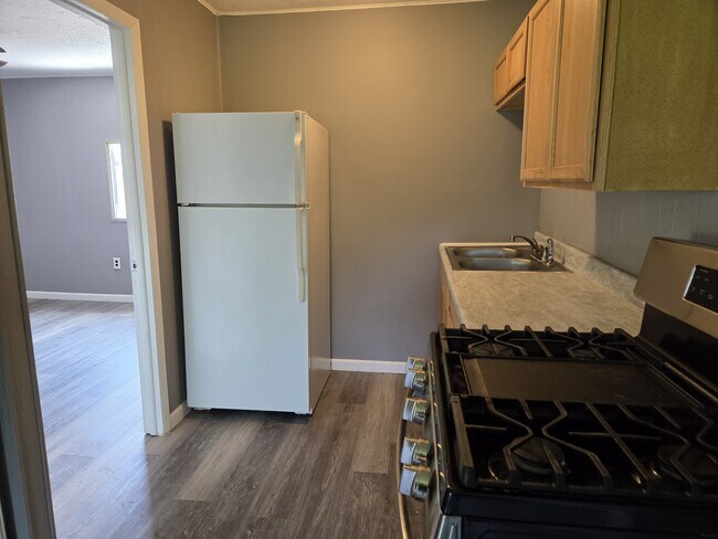 Building Photo - 208 Saco Ln