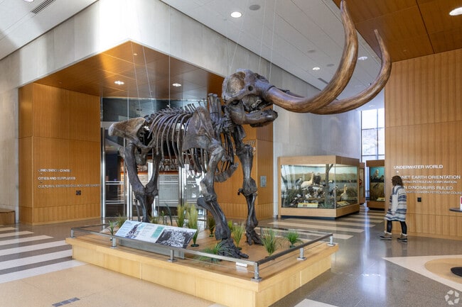 North Dakota Heritage Center & State Museum has an impressive natural history collection.
