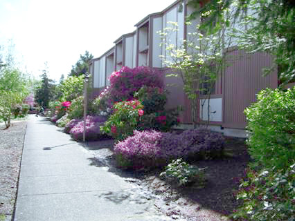 Foto del edificio - Ridgeview Terrace Senior Apartments